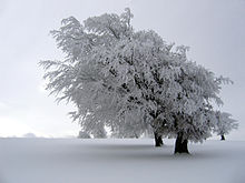 L’hiver: une période idéale pour votre rencontre amoureuse!