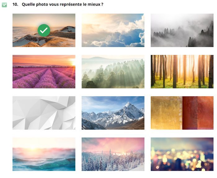 Question impliquant de se comparer à différentes images.